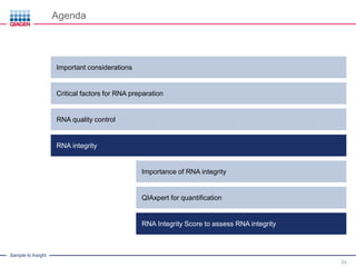 Sample to Insight
IntroductionImportant considerations
Agenda
33
Critical factors for RNA preparation
RNA quality control
RNA Integrity Score to assess RNA integrity
Importance of RNA integrity
QIAxpert for quantification
RNA integrity
 