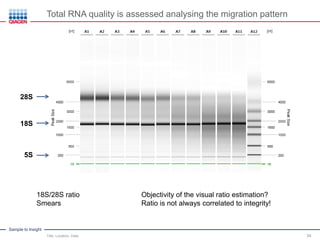 Sample to Insight
Total RNA quality is assessed analysing the migration pattern
Title, Location, Date 34
28S
18S
5S
18S/28S ratio
Smears
Objectivity of the visual ratio estimation?
Ratio is not always correlated to integrity!
 