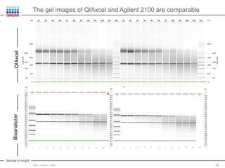 Sample to Insight
The gel images of QIAxcel and Agilent 2100 are comparable
Title, Location, Date 38
QIAxcelBioanalyzer
 