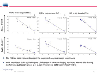 Sample to Insight
Title, Location, Date 42
ΔΔCTofactbΔΔCTofhprt1
RIS for RNase degraded RNA
 The RIS is a good indicator to predict the outcome of gene expression experiments
 More information found by viewing the “Comparison of two RNA integrity indicators” webinar and reading
the following publication: Unger C et al. (Electrophoresis. 2015 Sep;36(17):2072-81)
RIS for heat degraded RNA RIS for UV degraded RNA
 