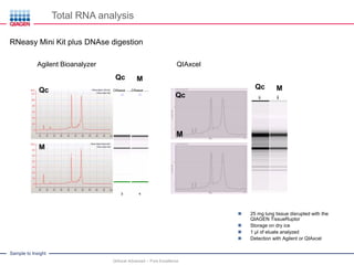 Sample to Insight
Total RNA analysis
QIAxcel Advanced – Pure Excellence
RNeasy Mini Kit plus DNAse digestion
Qc M
Qc
M
Lunge
Qc M
Qc
M
QIAxcelAgilent Bioanalyzer
 25 mg lung tissue disrupted with the
QIAGEN TissueRuptor
 Storage on dry ice
 1 µl of eluate analyzed
 Detection with Agilent or QIAxcel
M
 