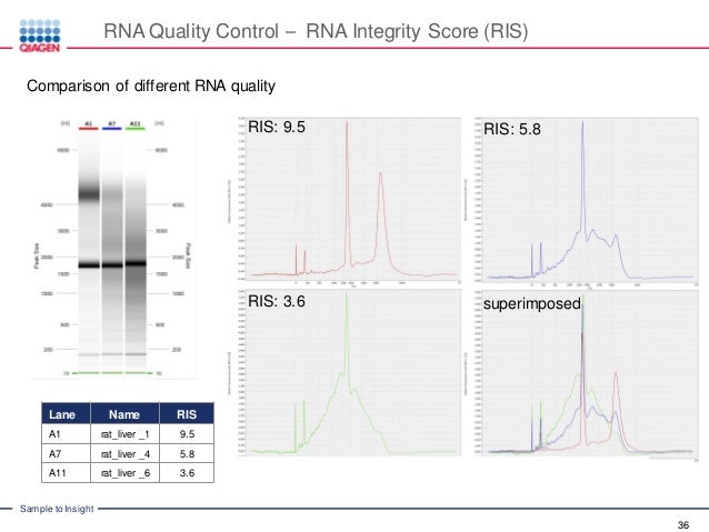 RNA Integrity and Quality – Standardize RNA Quality Control