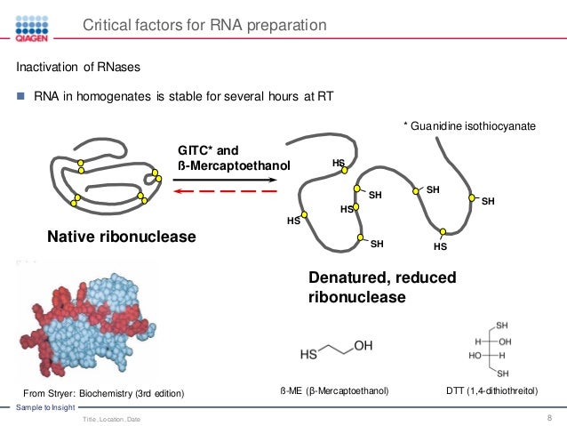 Rna Integrity And Quality Standardize Rna Quality Control