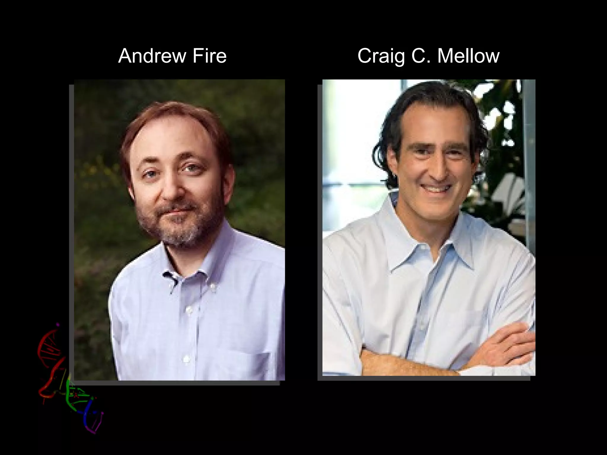 Andrew Fire   Craig C. Mellow
 