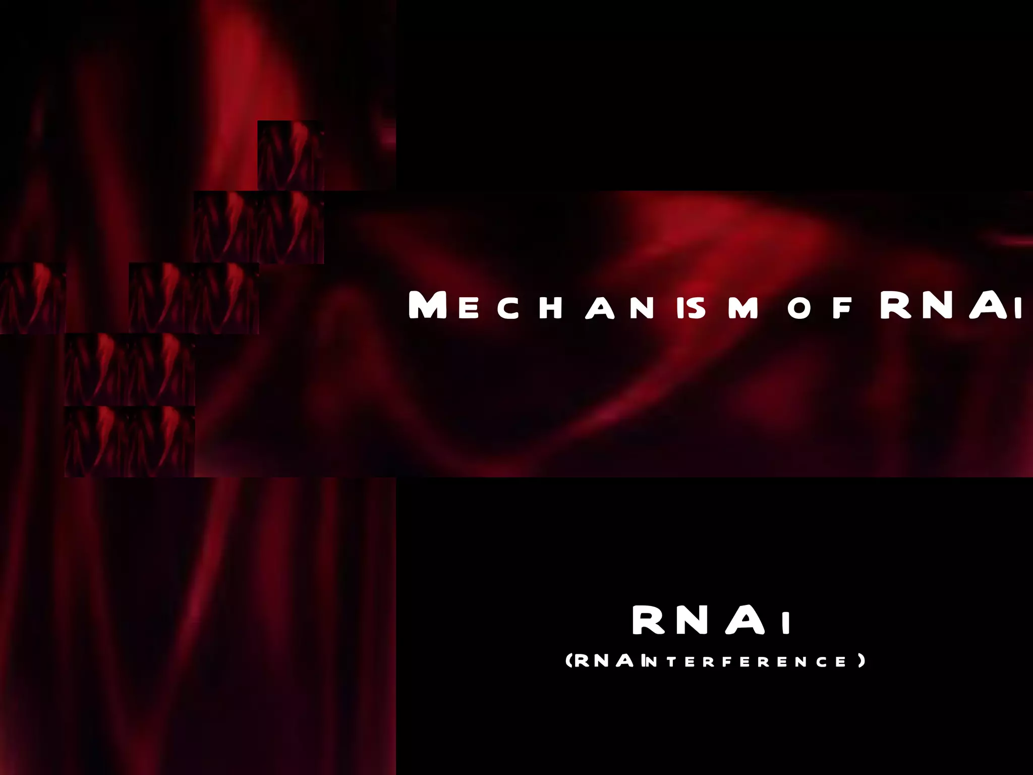 M e c h a n is m o f R N Ai




            RN A i
      (R N A In t e r f e r e n c e )
 