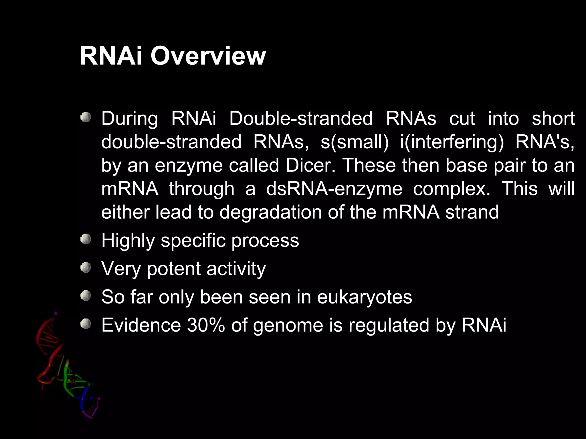 RNAi Overview

 During RNAi Double-stranded RNAs cut into short
 double-stranded RNAs, s(small) i(interfering) RNA's,
 by an enzyme called Dicer. These then base pair to an
 mRNA through a dsRNA-enzyme complex. This will
 either lead to degradation of the mRNA strand
 Highly specific process
 Very potent activity
 So far only been seen in eukaryotes
 Evidence 30% of genome is regulated by RNAi
 