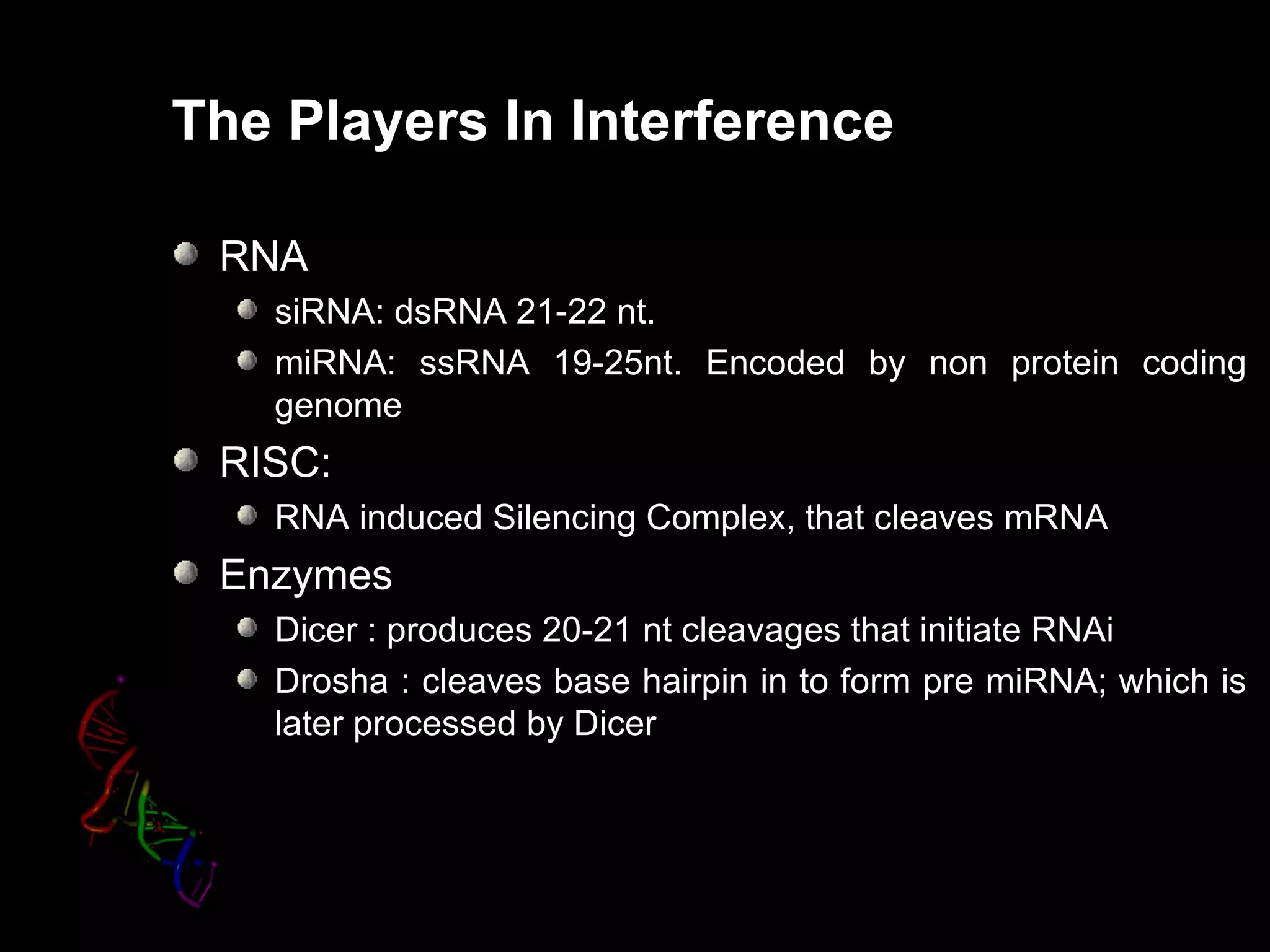 The Players In Interference

 RNA
   siRNA: dsRNA 21-22 nt.
   miRNA: ssRNA 19-25nt. Encoded by non protein coding
   genome
 RISC:
   RNA induced Silencing Complex, that cleaves mRNA
 Enzymes
   Dicer : produces 20-21 nt cleavages that initiate RNAi
   Drosha : cleaves base hairpin in to form pre miRNA; which is
   later processed by Dicer
 
