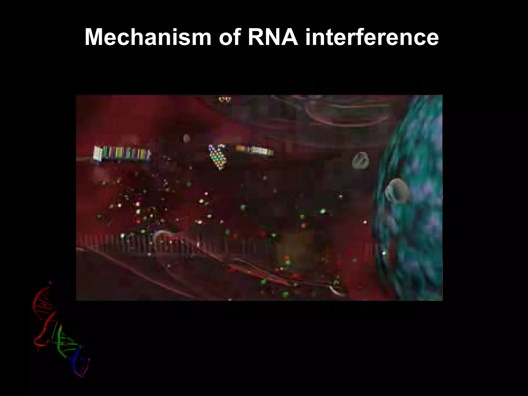 Mechanism of RNA interference
 