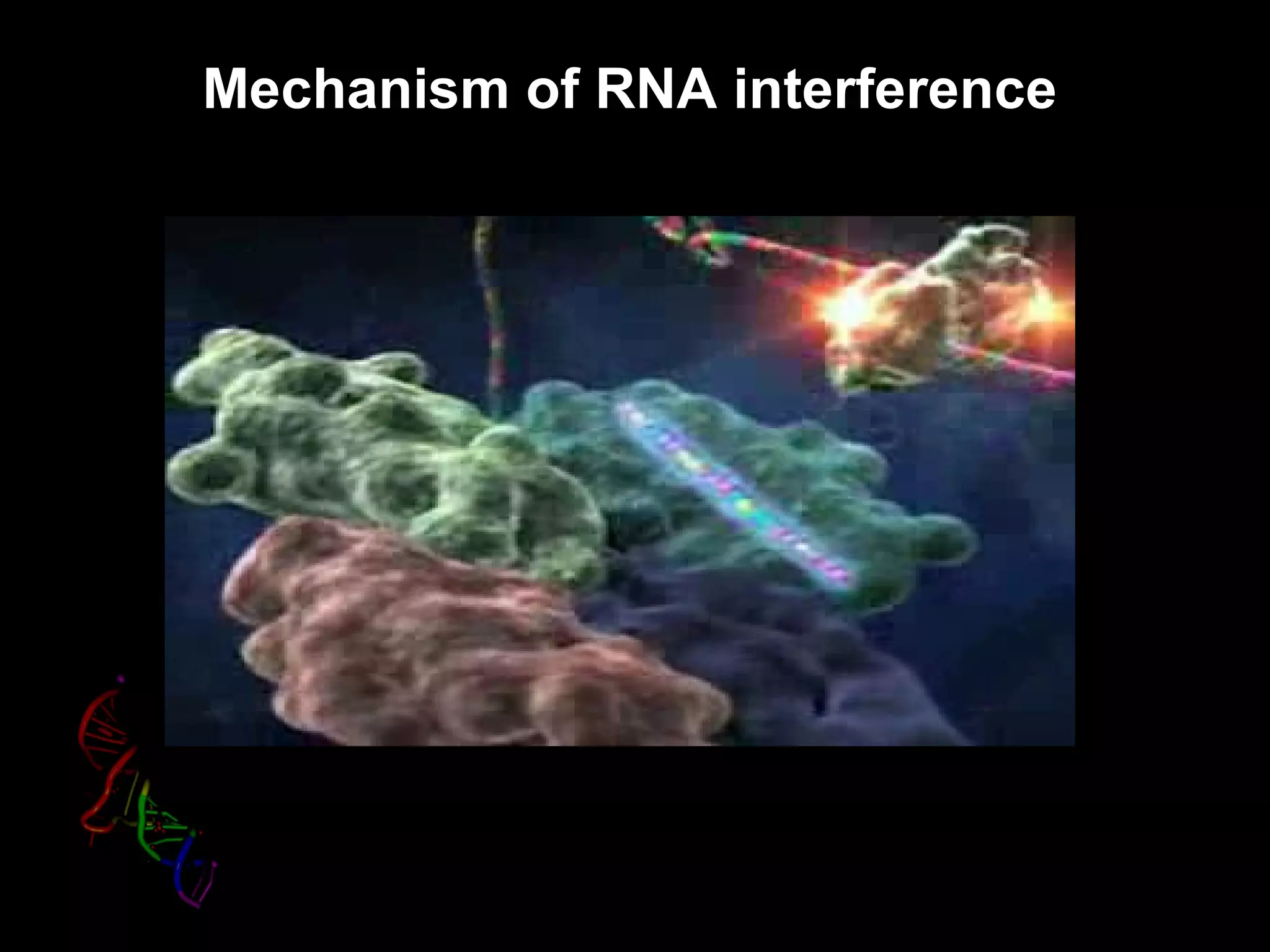 Mechanism of RNA interference
 
