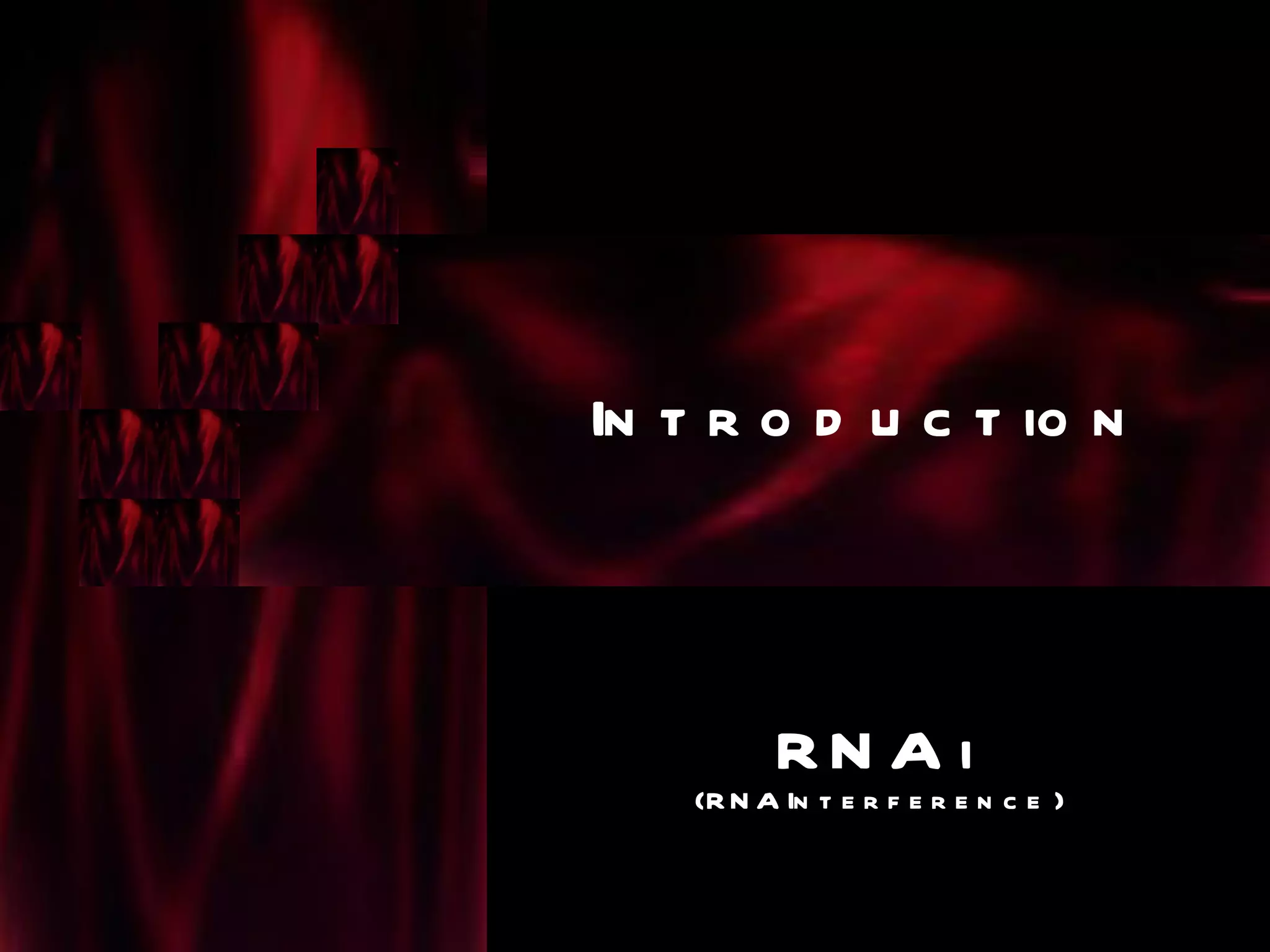 In t r o d u c t io n



          RN A i
    (R N A In t e r f e r e n c e )
 