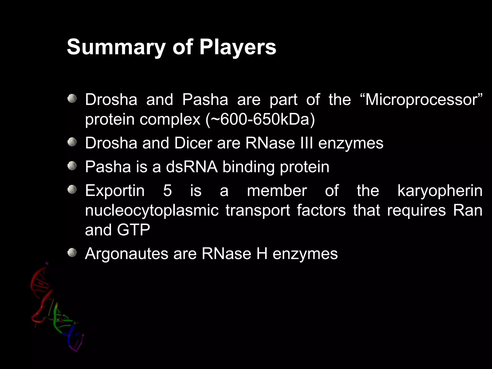 Summary of Players

 Drosha and Pasha are part of the “Microprocessor”
 protein complex (~600-650kDa)
 Drosha and Dicer are RNase III enzymes
 Pasha is a dsRNA binding protein
 Exportin 5 is a member of the karyopherin
 nucleocytoplasmic transport factors that requires Ran
 and GTP
 Argonautes are RNase H enzymes
 