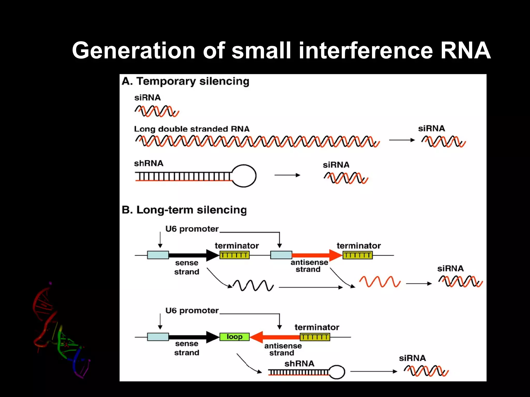 Generation of small interference RNA
 