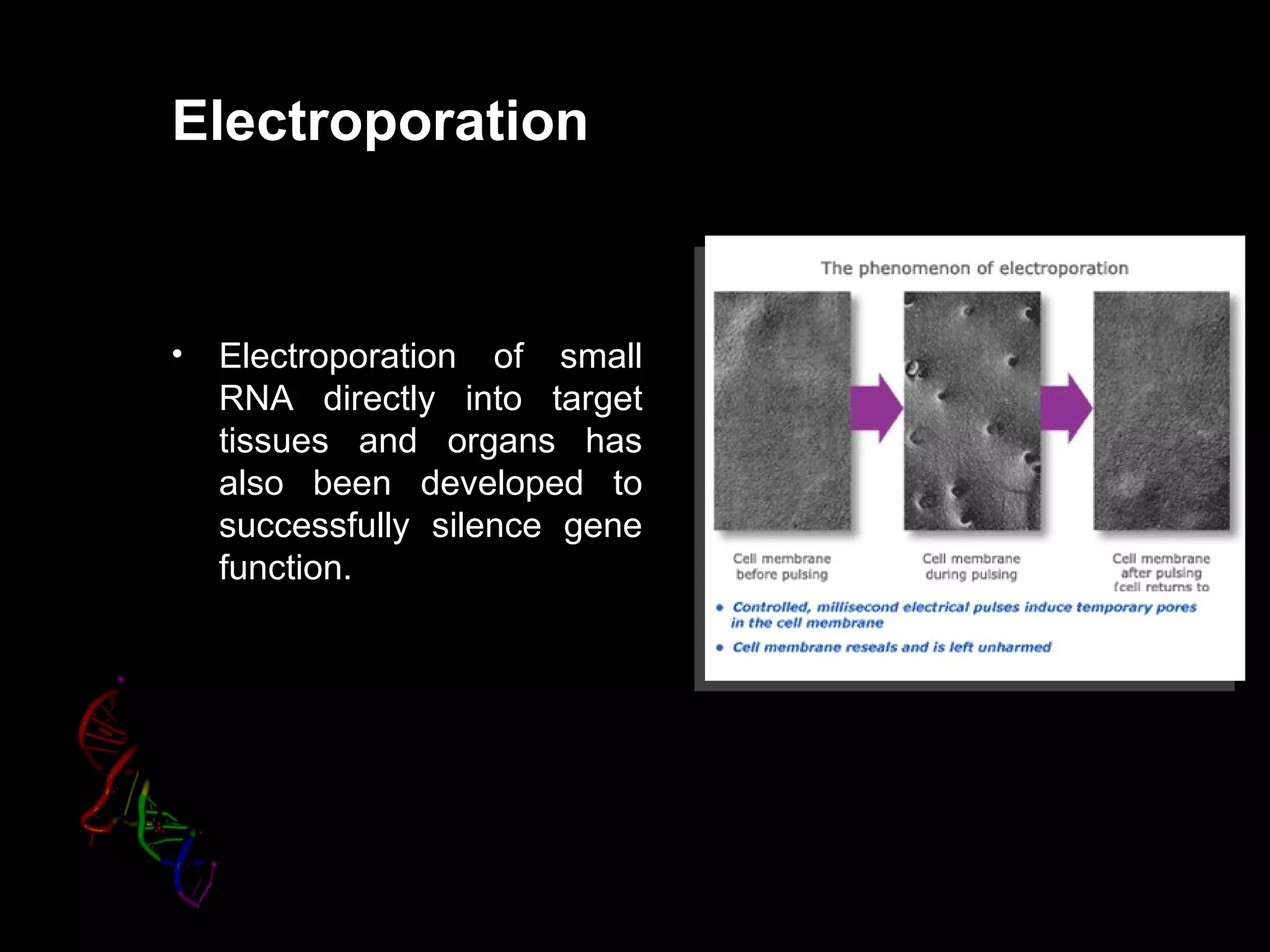 Electroporation


•   Electroporation of small
    RNA directly into target
    tissues and organs has
    also been developed to
    successfully silence gene
    function.
 
