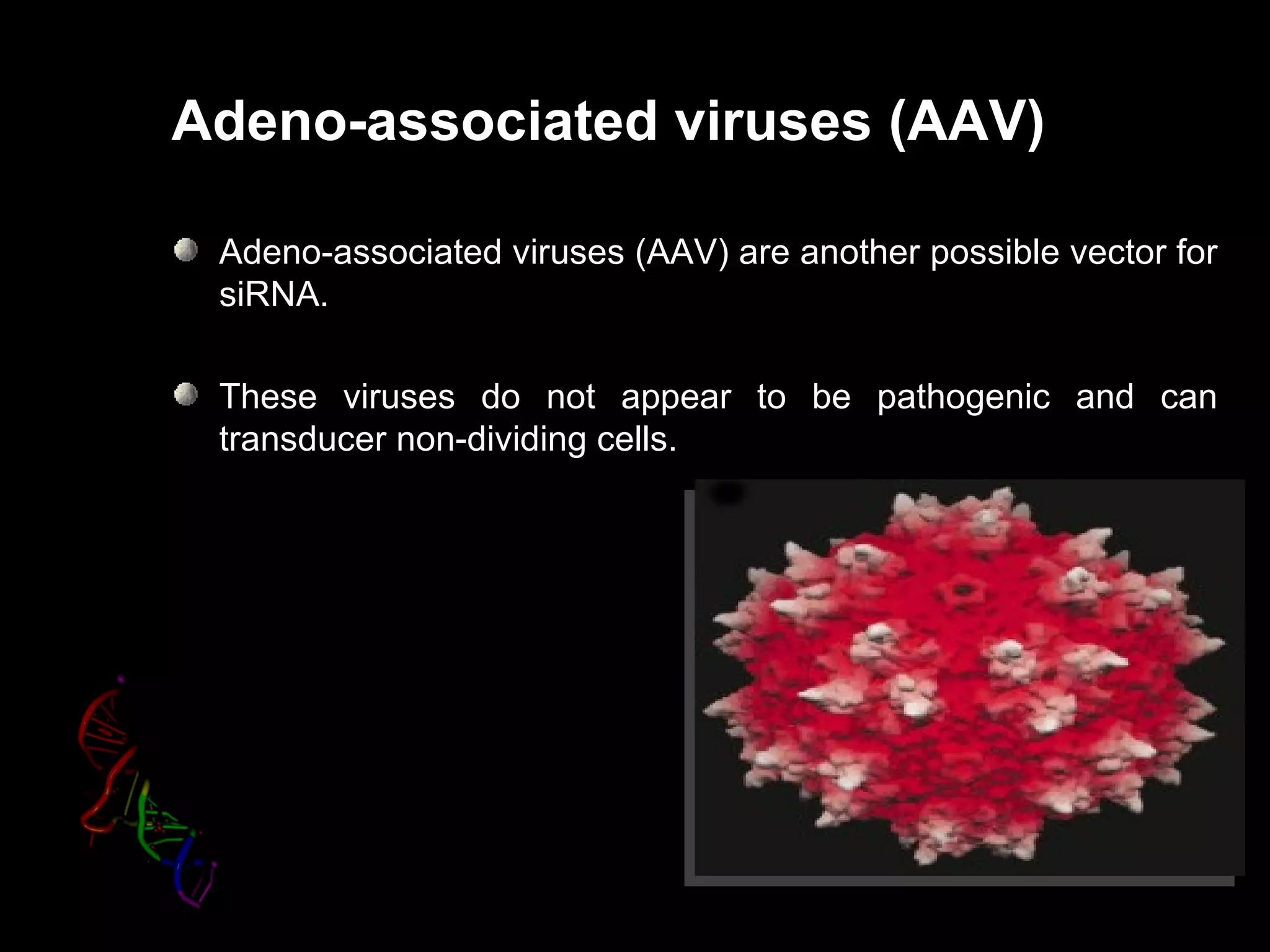 Adeno-associated viruses (AAV)

 Adeno-associated viruses (AAV) are another possible vector for
 siRNA.

 These viruses do not appear to be pathogenic and can
 transducer non-dividing cells.
 