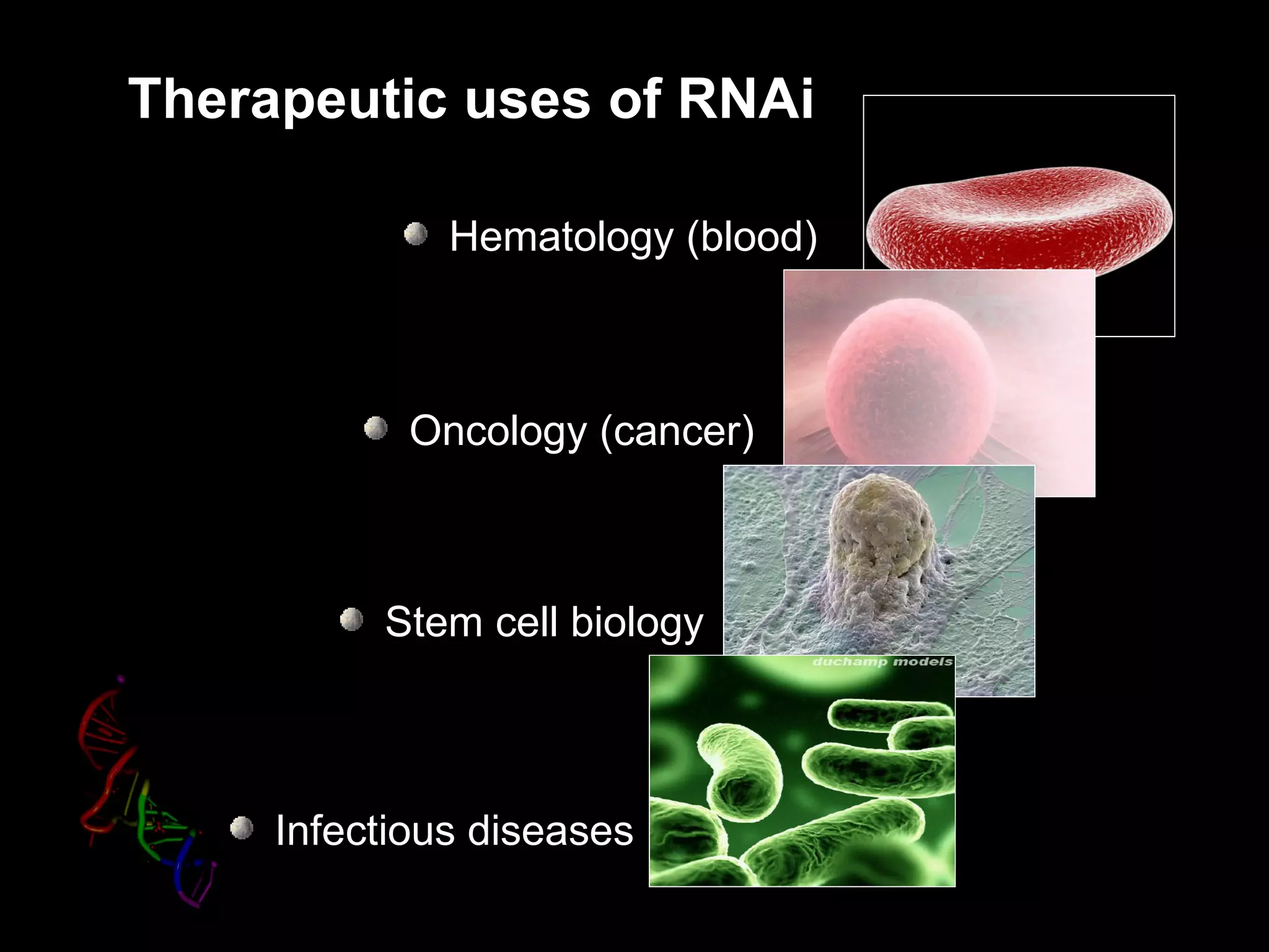 Therapeutic uses of RNAi

              Hematology (blood)



            Oncology (cancer)



          Stem cell biology



     Infectious diseases
 