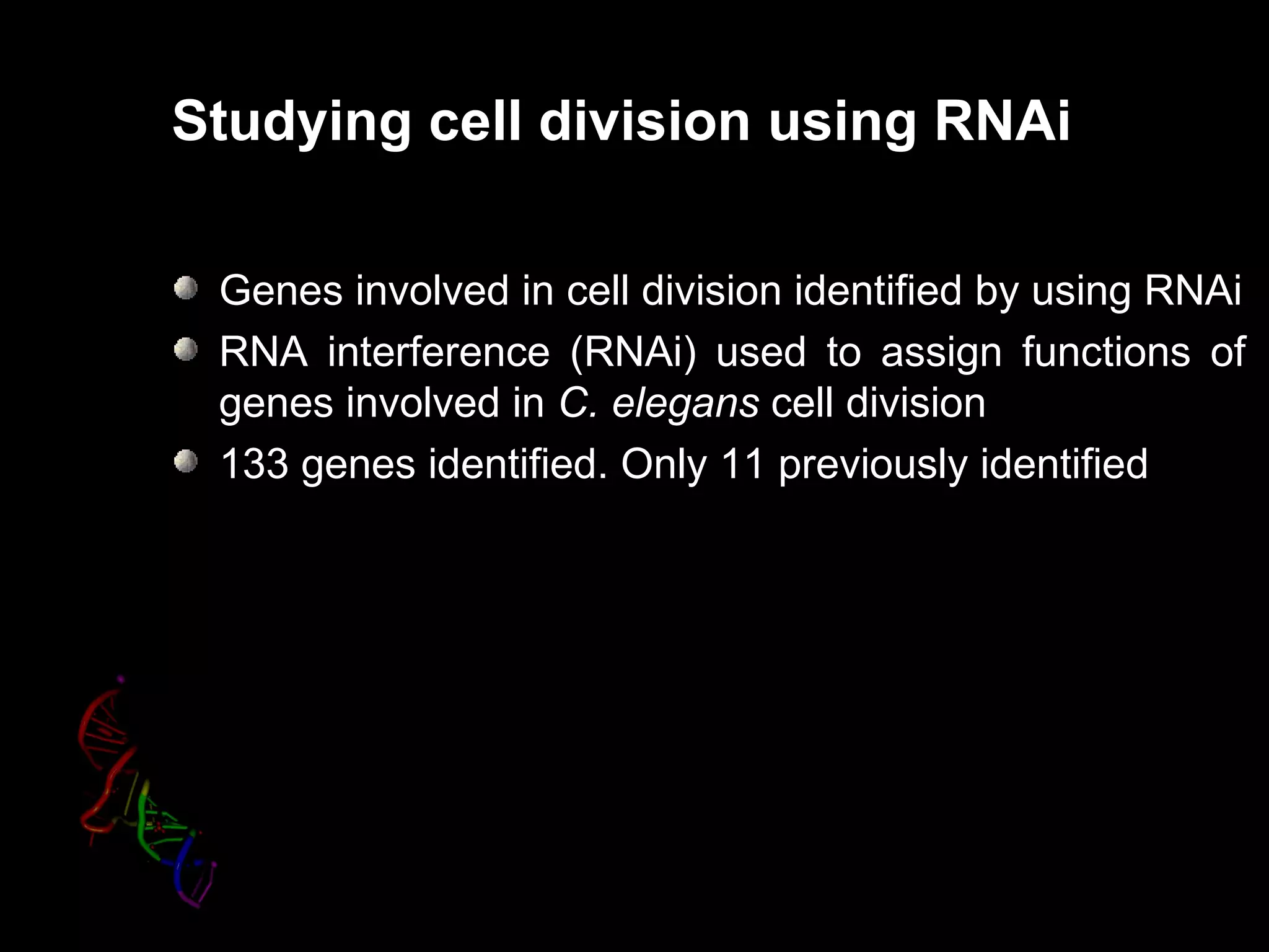 Studying cell division using RNAi

 Genes involved in cell division identified by using RNAi
 RNA interference (RNAi) used to assign functions of
 genes involved in C. elegans cell division
 133 genes identified. Only 11 previously identified
 