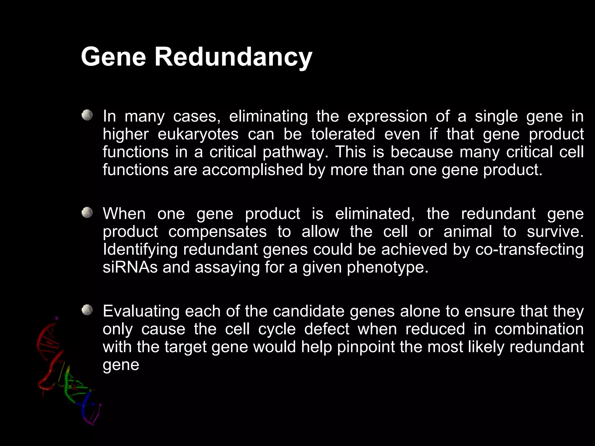 Gene Redundancy

 In many cases, eliminating the expression of a single gene in
 higher eukaryotes can be tolerated even if that gene product
 functions in a critical pathway. This is because many critical cell
 functions are accomplished by more than one gene product.

 When one gene product is eliminated, the redundant gene
 product compensates to allow the cell or animal to survive.
 Identifying redundant genes could be achieved by co-transfecting
 siRNAs and assaying for a given phenotype.

 Evaluating each of the candidate genes alone to ensure that they
 only cause the cell cycle defect when reduced in combination
 with the target gene would help pinpoint the most likely redundant
 gene
 