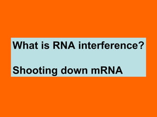 What is RNA interference?
Shooting down mRNA
 