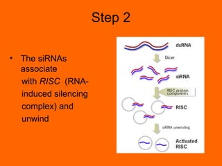 Rna interference | PPT