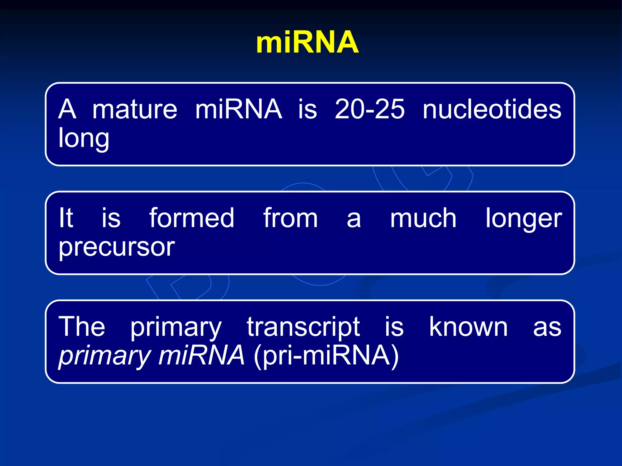A mature miRNA is 20-25 nucleotides
long
It is formed from a much longer
precursor
The primary transcript is known as
primary miRNA (pri-miRNA)
miRNA
 