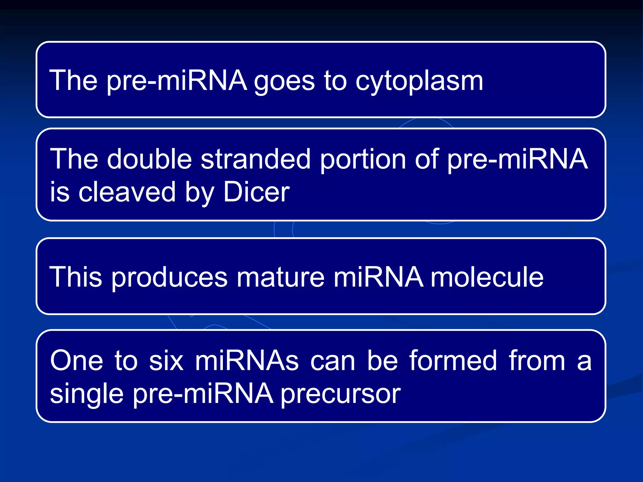 The pre-miRNA goes to cytoplasm
The double stranded portion of pre-miRNA
is cleaved by Dicer
This produces mature miRNA molecule
One to six miRNAs can be formed from a
single pre-miRNA precursor
 
