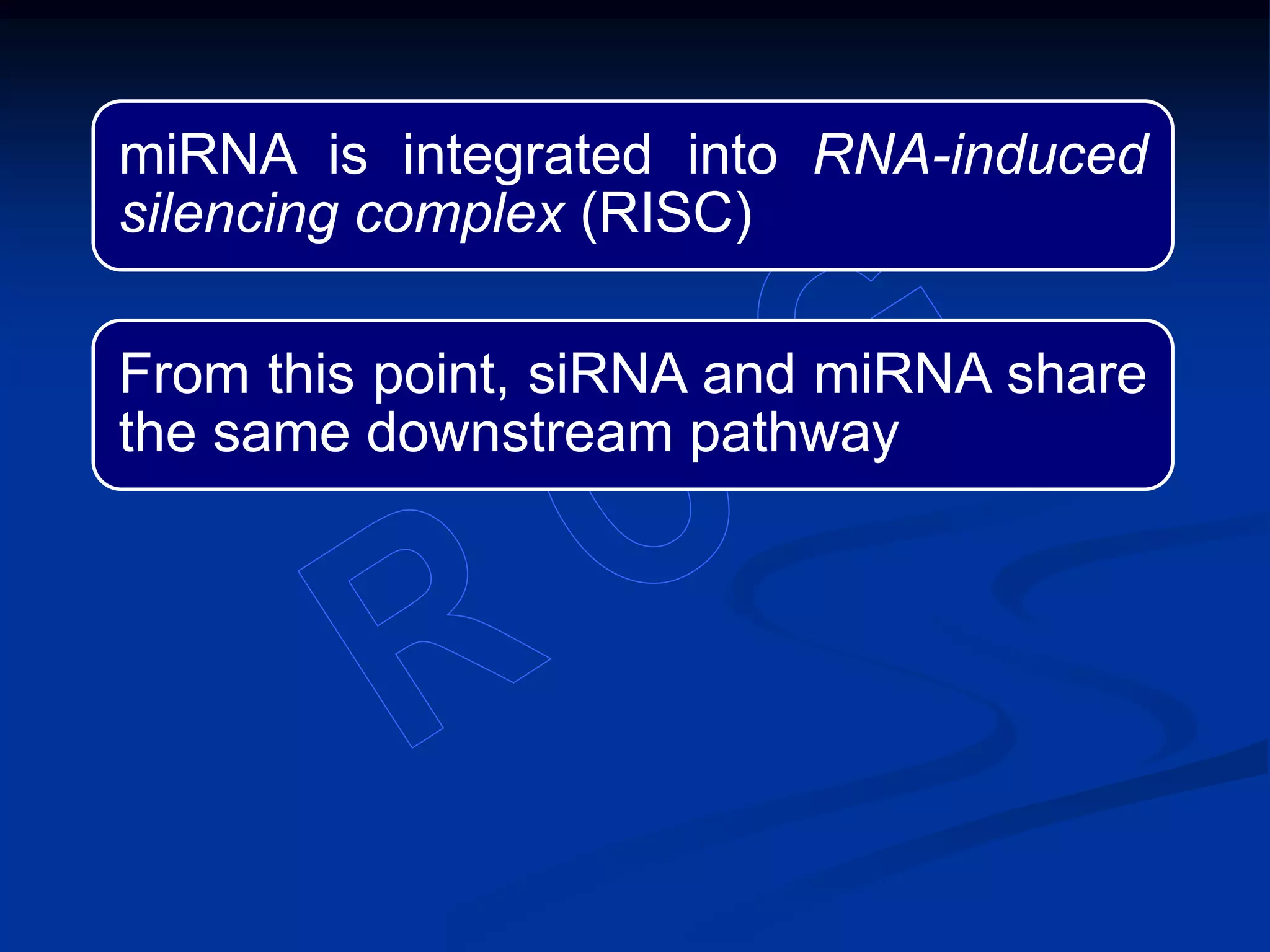 miRNA is integrated into RNA-induced
silencing complex (RISC)
From this point, siRNA and miRNA share
the same downstream pathway
 