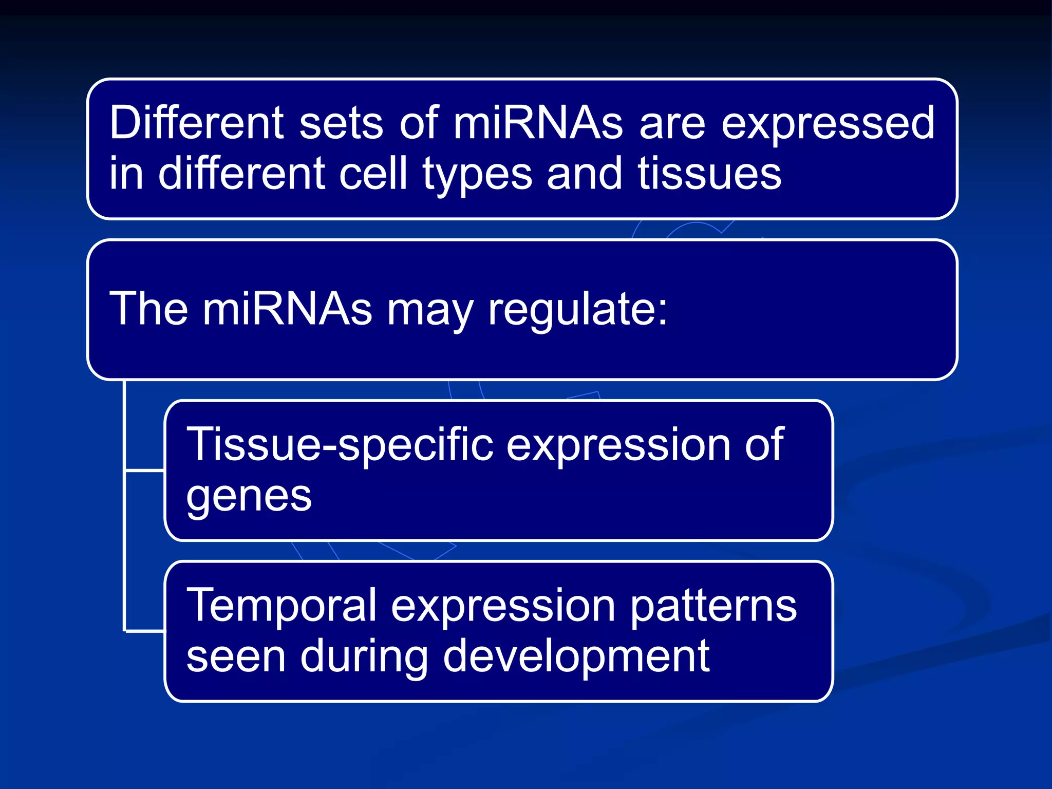 Different sets of miRNAs are expressed
in different cell types and tissues
The miRNAs may regulate:
Tissue-specific expression of
genes
Temporal expression patterns
seen during development
 