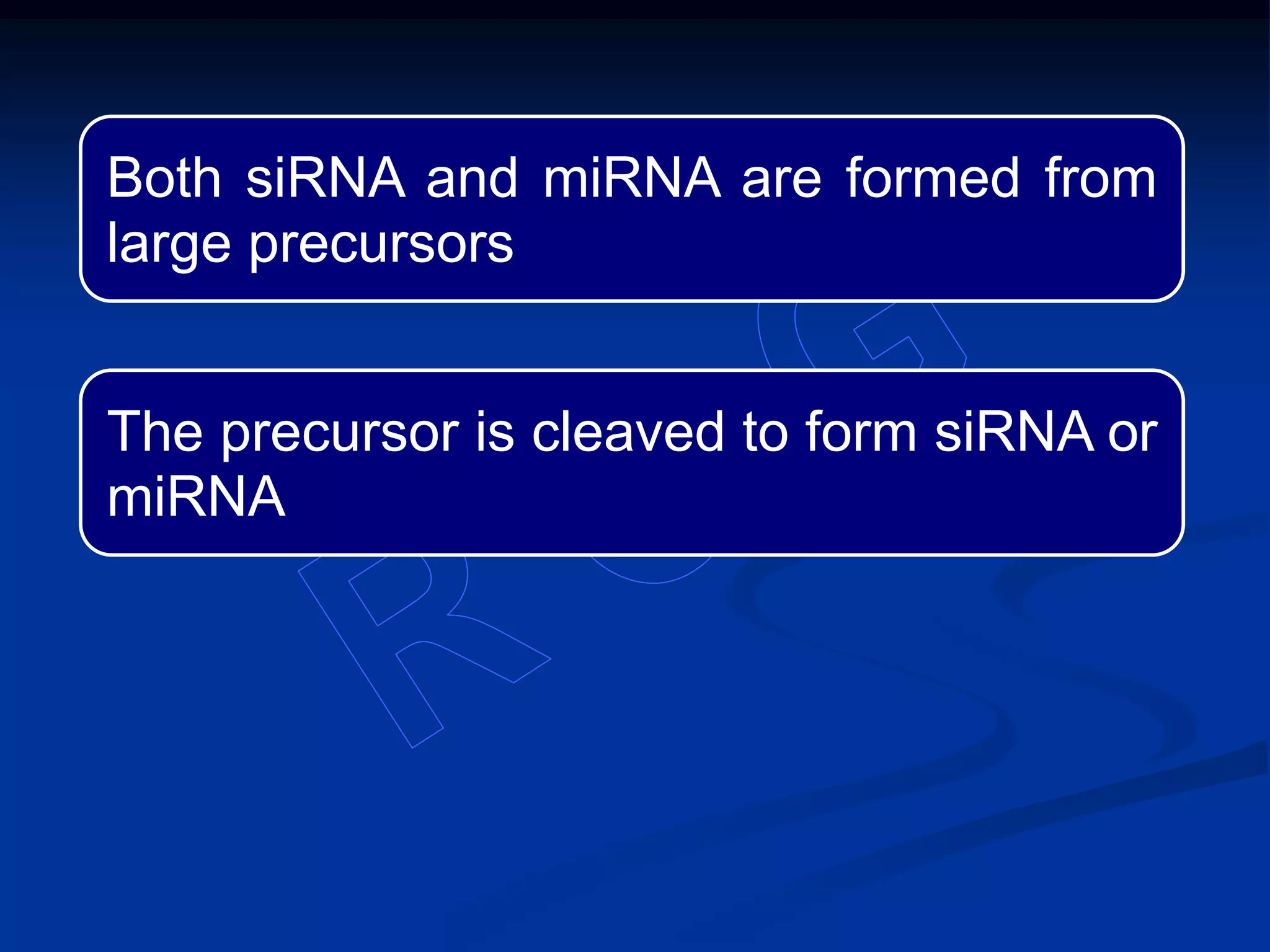 Both siRNA and miRNA are formed from
large precursors
The precursor is cleaved to form siRNA or
miRNA
 