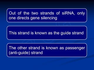 Out of the two strands of siRNA, only
one directs gene silencing
This strand is known as the guide strand
The other strand is known as passenger
(anti-guide) strand
 