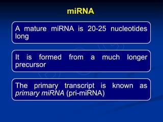 A mature miRNA is 20-25 nucleotides
long
It is formed from a much longer
precursor
The primary transcript is known as
primary miRNA (pri-miRNA)
miRNA
 