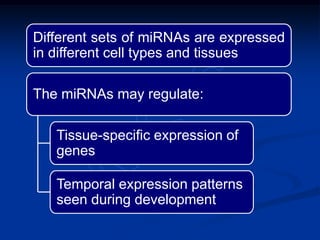 Different sets of miRNAs are expressed
in different cell types and tissues
The miRNAs may regulate:
Tissue-specific expression of
genes
Temporal expression patterns
seen during development
 