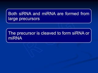 Both siRNA and miRNA are formed from
large precursors
The precursor is cleaved to form siRNA or
miRNA
 