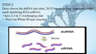 Rna interference | PPTX
