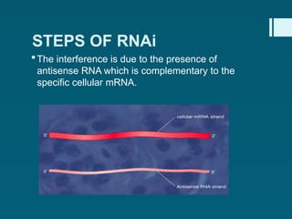 Cornai RNA_Interference powerpoint presentation | PPTX