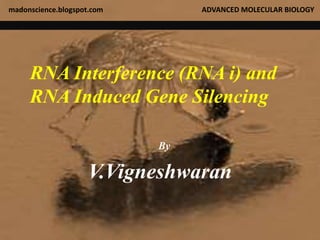 RNA Interference (RNA i) and
RNA Induced Gene Silencing
By
V.Vigneshwaran
madonscience.blogspot.com ADVANCED MOLECULAR BIOLOGY
 
