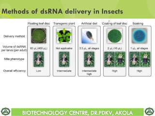 Rna interference in insect pest management | PDF