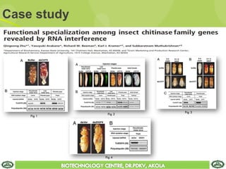 Case study
Fig 1
Fig 2
Fig 3
Fig 4
 