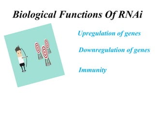 Biological Functions Of RNAi
Upregulation of genes
Downregulation of genes
Immunity
 