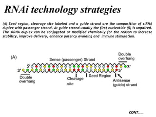RNAi technology strategies
(A) Seed region, cleavage site labeled and a guide strand are the composition of siRNA
duplex with passenger strand. At guide strand usually the first nucleotide (5) is unpaired.
The siRNA duplex can be conjugated or modified chemically for the reason to increase
stability, improve delivery, enhance potency avoiding and immune stimulation.
CONT……
 