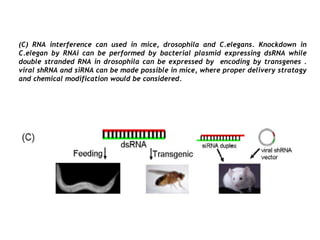 (C) RNA interference can used in mice, drosophila and C.elegans. Knockdown in
C.elegan by RNAi can be performed by bacterial plasmid expressing dsRNA while
double stranded RNA in drosophila can be expressed by encoding by transgenes .
viral shRNA and siRNA can be made possible in mice, where proper delivery stratagy
and chemical modification would be considered.
 