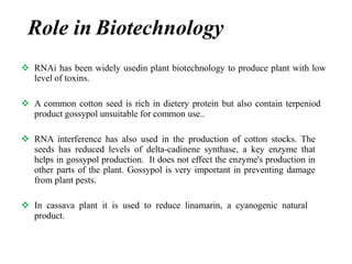 Role in Biotechnology
 RNAi has been widely usedin plant biotechnology to produce plant with low
level of toxins.
 A common cotton seed is rich in dietery protein but also contain terpeniod
product gossypol unsuitable for common use..
 RNA interference has also used in the production of cotton stocks. The
seeds has reduced levels of delta-cadinene synthase, a key enzyme that
helps in gossypol production. It does not effect the enzyme's production in
other parts of the plant. Gossypol is very important in preventing damage
from plant pests.
 In cassava plant it is used to reduce linamarin, a cyanogenic natural
product.
 