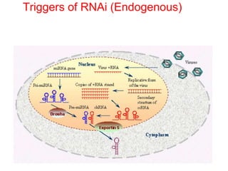 Triggers of RNAi (Endogenous)
 