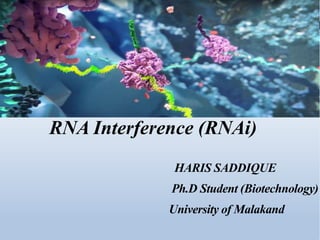 RNA Interference (RNAi)
HARIS SADDIQUE
Ph.D Student (Biotechnology)
University of Malakand
 