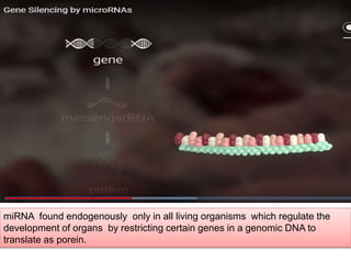 miRNA found endogenously only in all living organisms which regulate the
development of organs by restricting certain genes in a genomic DNA to
translate as porein.
 