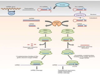 Rna interference (rn ai)