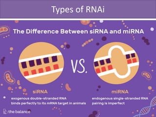 Types of RNAi
 