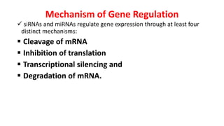 RNA interference (RNAi) in plants | PPTX