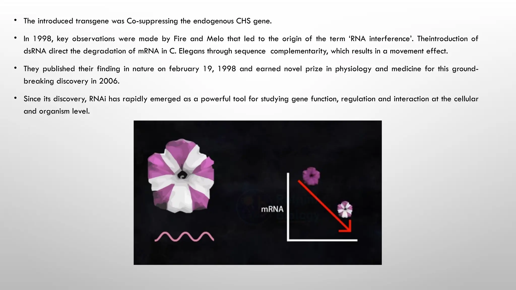 RNA INTERFERENCE ( SI-RNA ^0 mi-RNA ) (1).pptx