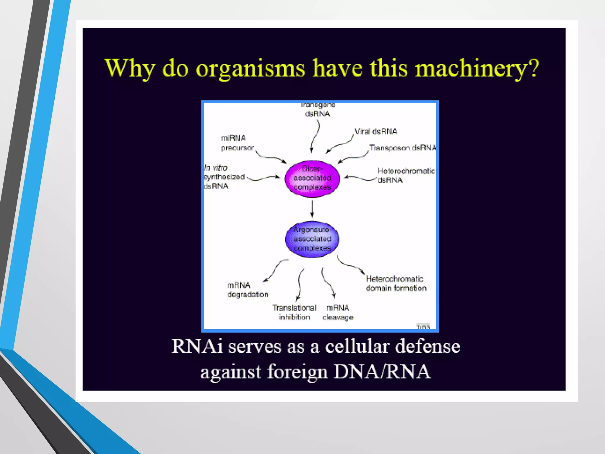 RNA Interference technology | PPT