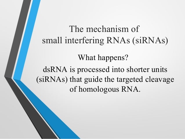 RNA Interference technology